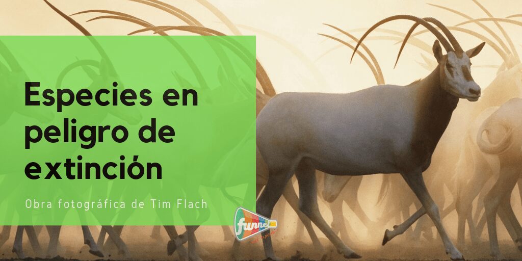 Especies en peligro de extincion